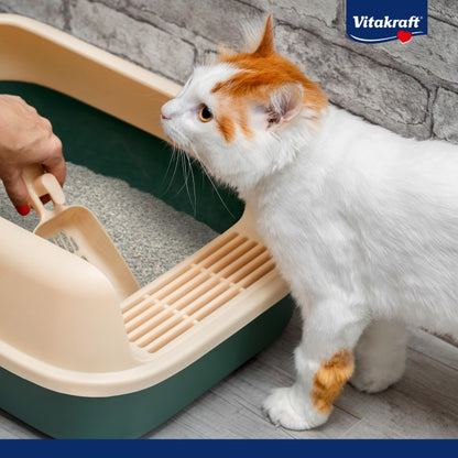 Vitakraft Compact Ultra Aglutinante de areia 4 L