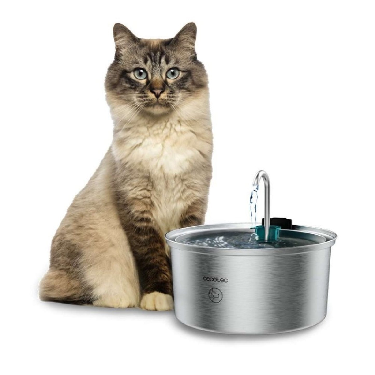 Cecotec Bebedero Para Mascotas Pumba 3200 Refresh Inox 3,2l_0