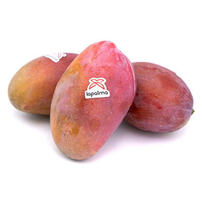 Mango Osteen 4kg Granada La Palma_1