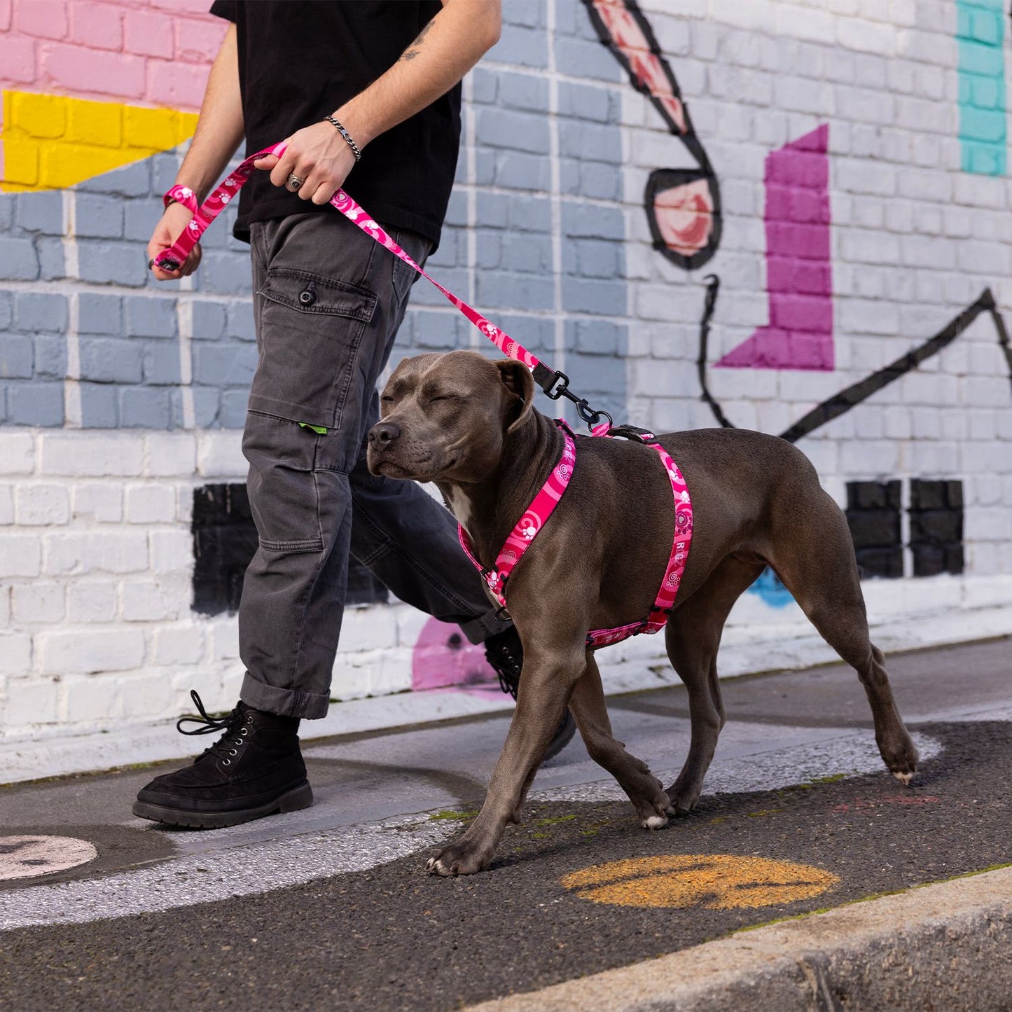 Arnés Para Perro, Modelo Fusion De Rogz, Estampado Huellas Rosas. Talla Xl (39-64kg)_3