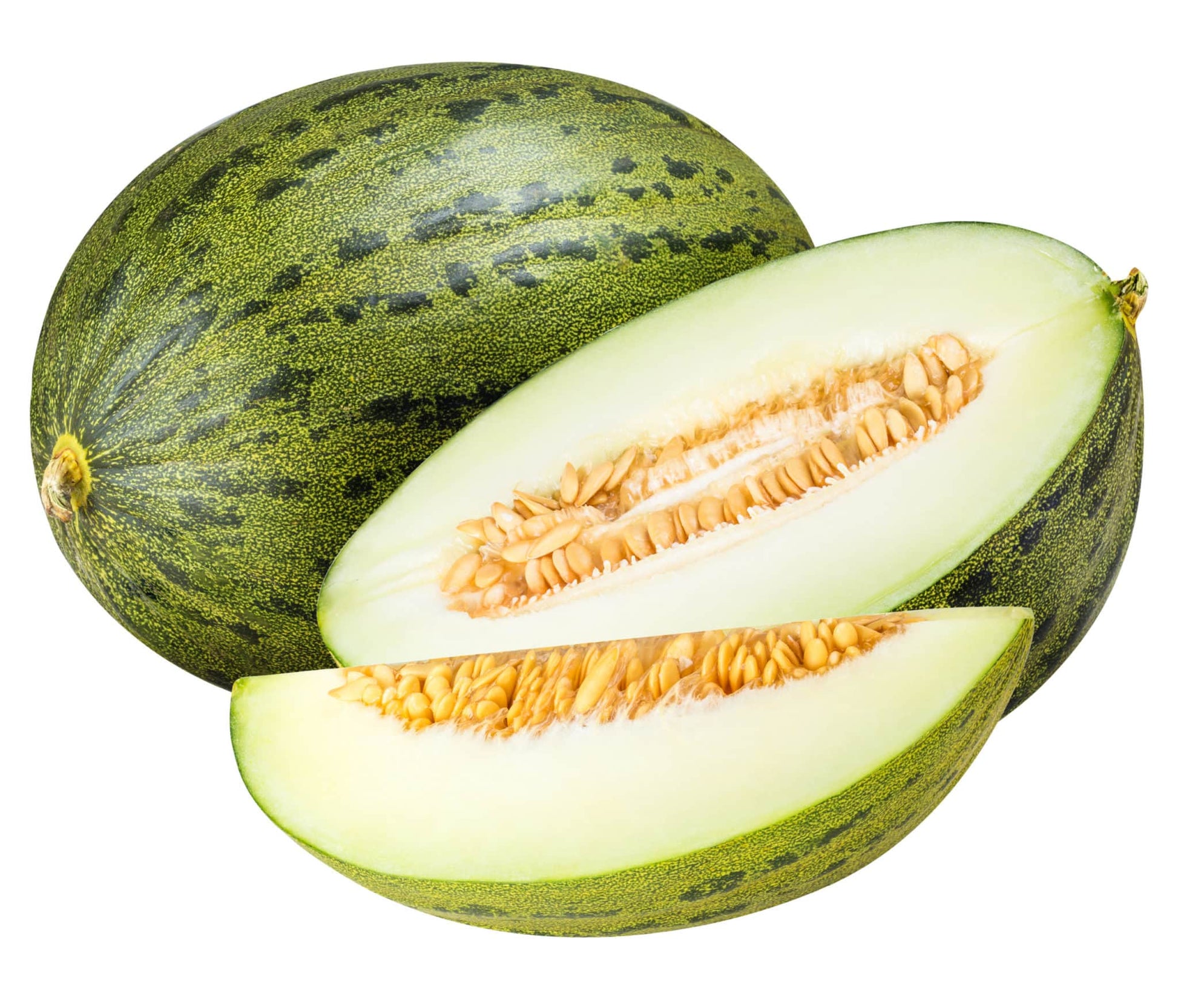 Plantón Melón Piel De Sapo Injertado En Calabaza (5 Unidades)_0
