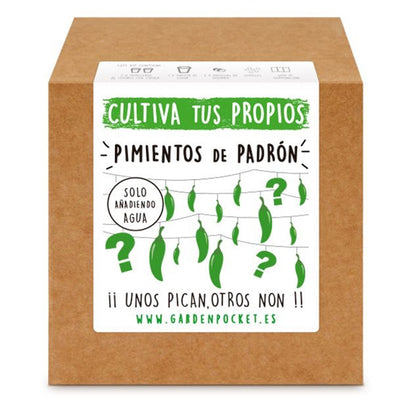 Brotos de Pimentos Padrón de Bolso de Jardim