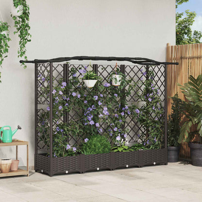 Cama Elevada Con Trellis Y Techo Marrón 203,5 X 40 X 123 Cm Pp_1