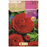 Bolbo de Francesilla Ranunculus Vermelho 10 unidades Rocalba