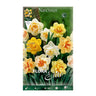 Bolbos de narciso duplos mix 5 unidades