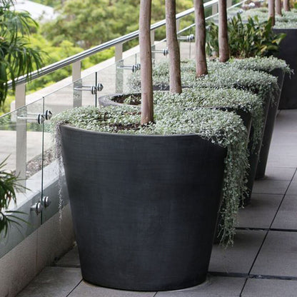 Maceta Tipo Cono Truncado Ø 10 Cm_5