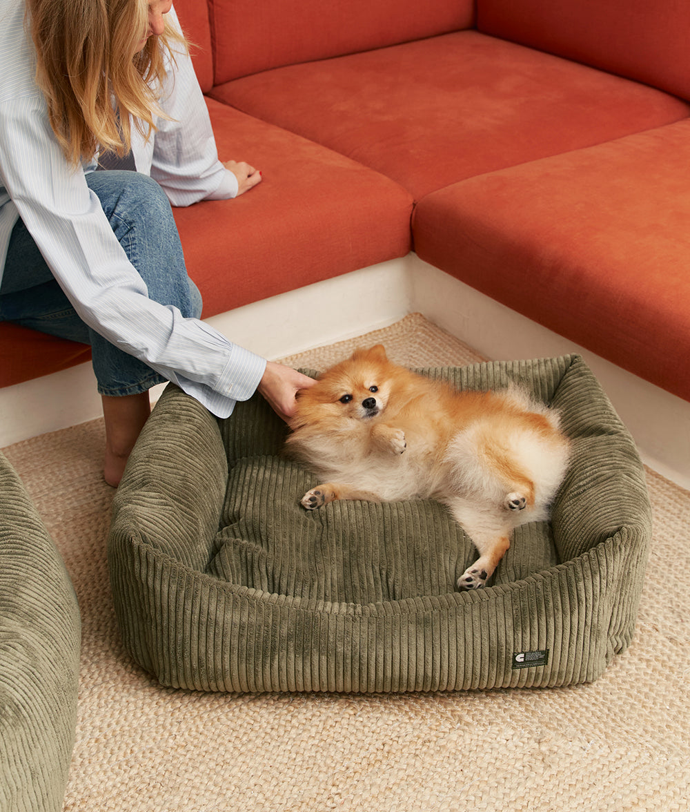 Cafide Cama De Material Reciclado Para Perro Con Tejido De Pana Verde. Modelo Snozy._2