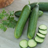 Sementes De Pepino La Diva Ecológicas
