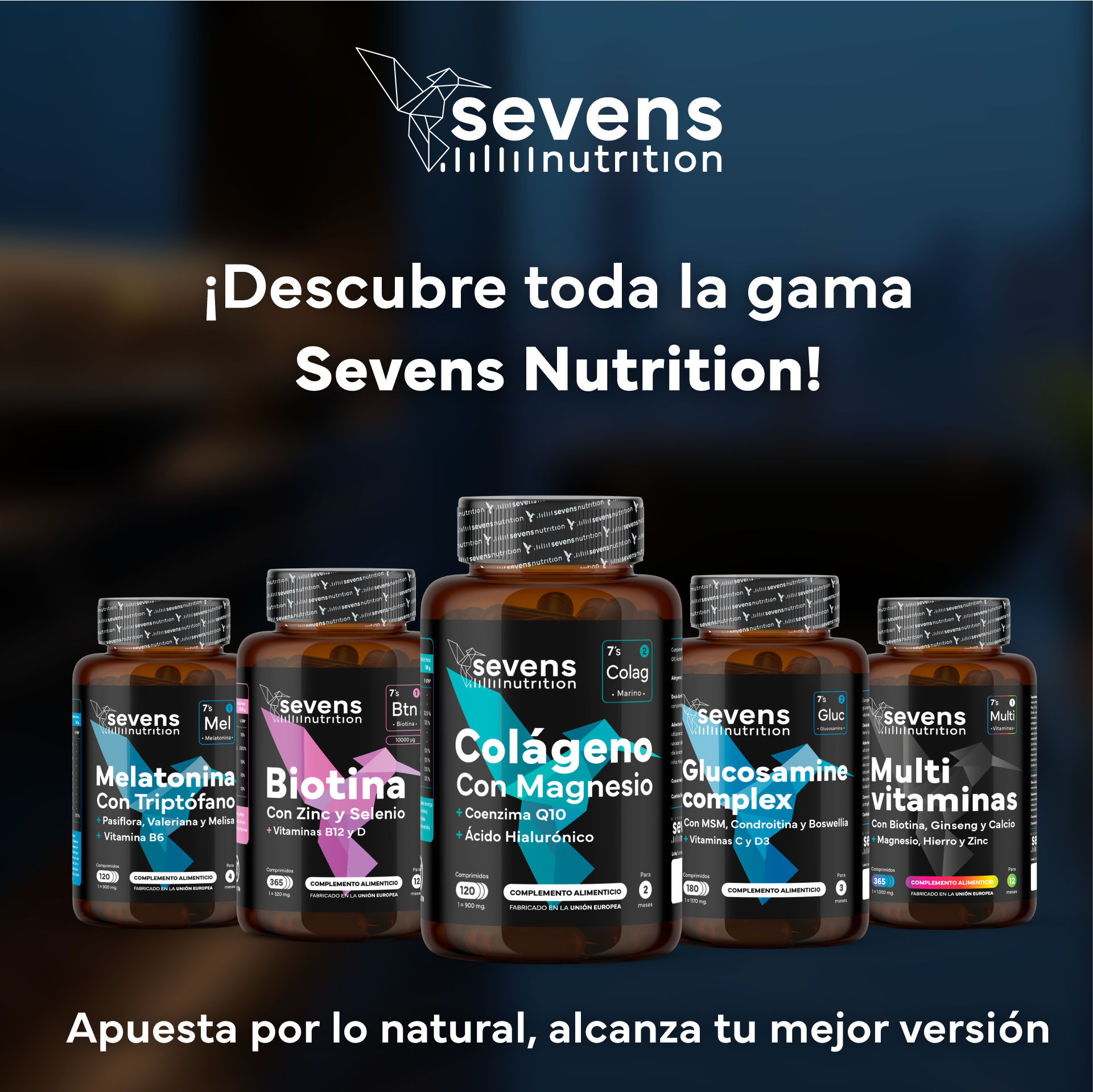 Colágeno Marino Con Magnesio + Probióticos Y Prebióticos. Sevens Nutrition. Salud Digestiva, Piel Y Articulaciones_5