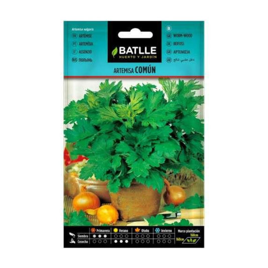 Sementes de Artemisia Batlle comum