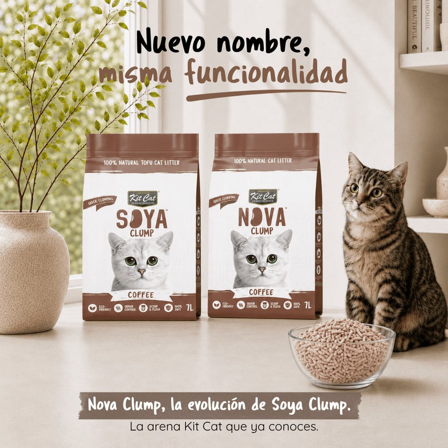 Pack de 6 Kit Cat Arena Eco SoyaClump - Areia para gatos Coffee 7 L