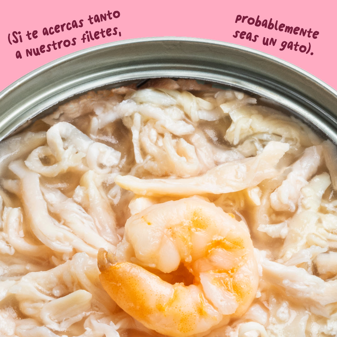 Filetes de pollo con gambas para gatos Edgard & Cooper 70 g