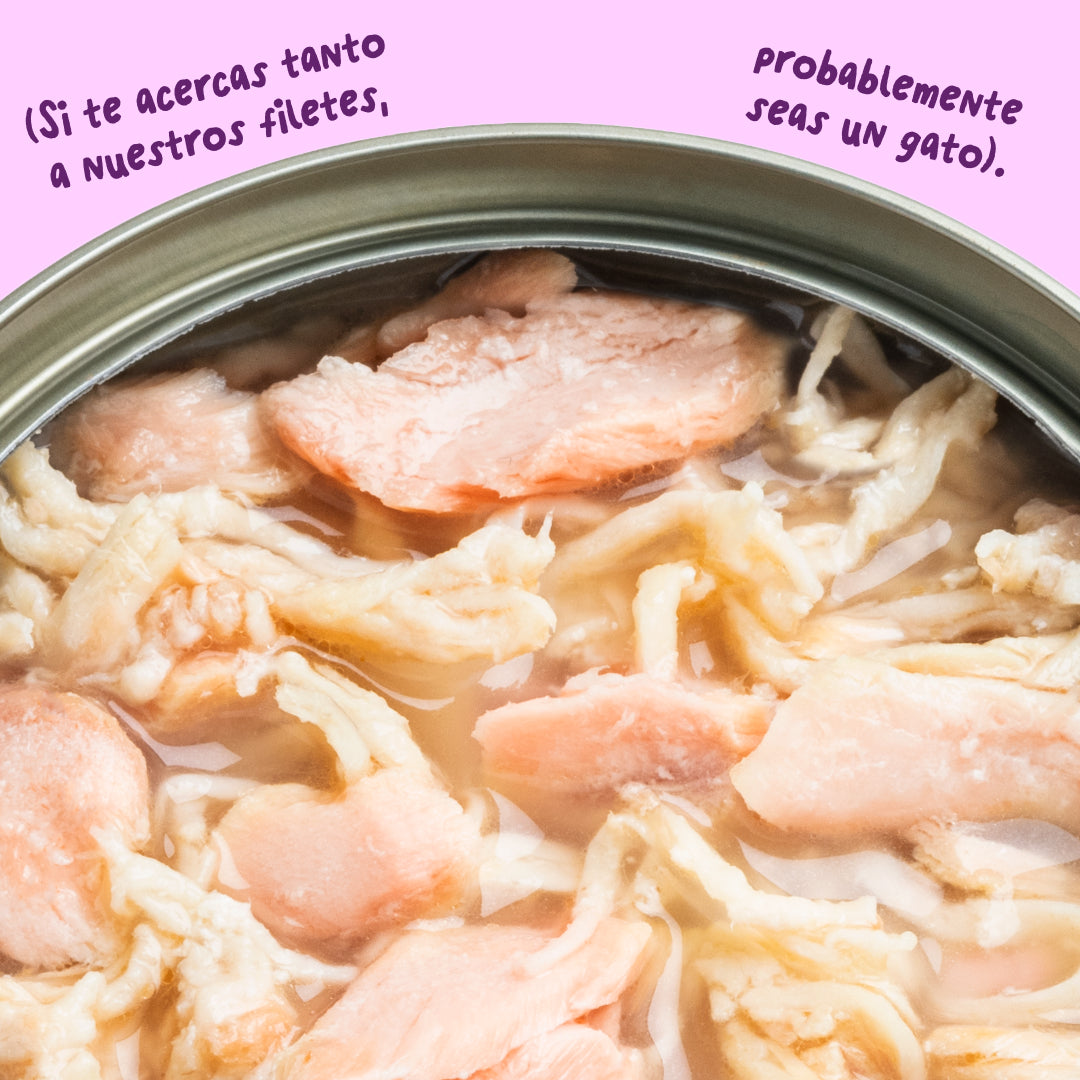 Filetes de salmón y pollo para gatos Edgard & Cooper 70 g
