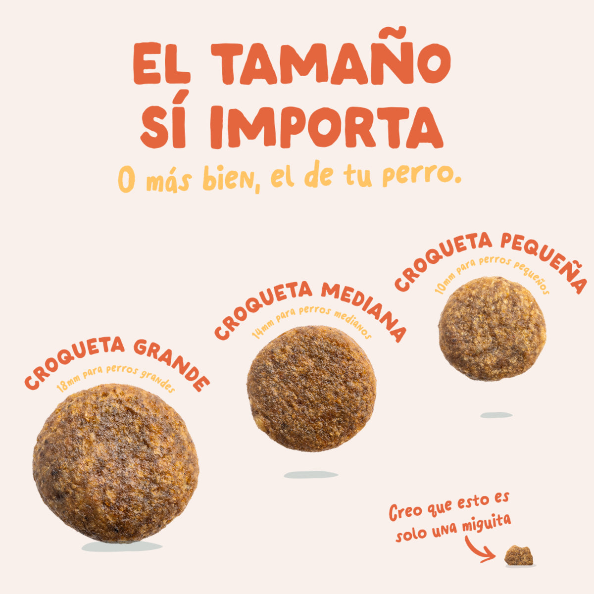 Ração Edgard &amp; Cooper Free Range Chicken para cães 1 kg