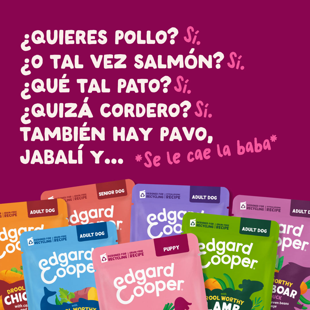 Multipack Guiso para perro Edgard & Cooper 8x150 g