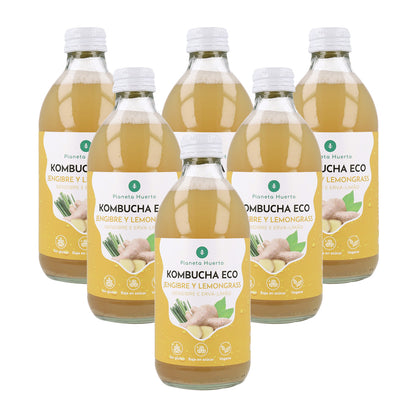 Embalagem de 6 Kombucha ECO Gengibre e Erva-príncipe Planeta Huerto 330 ml