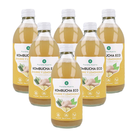 Embalagem de 6 Kombucha ECO Gengibre e Erva-príncipe Planeta Huerto 330 ml