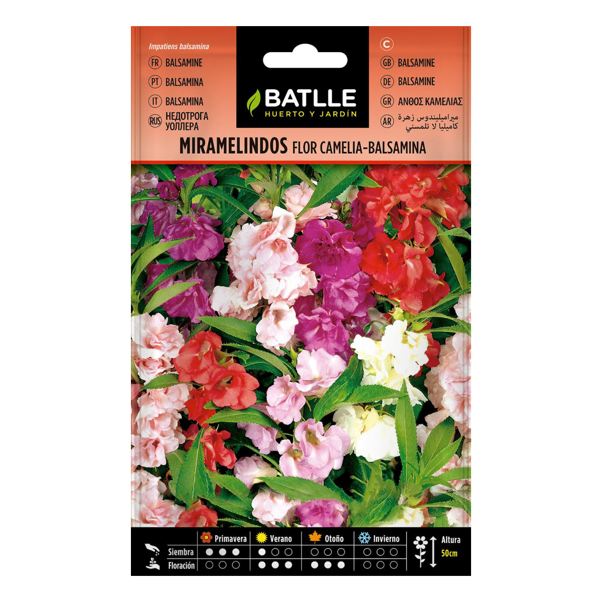 Sementes de flores de camélia-balsâmia Miramelindos