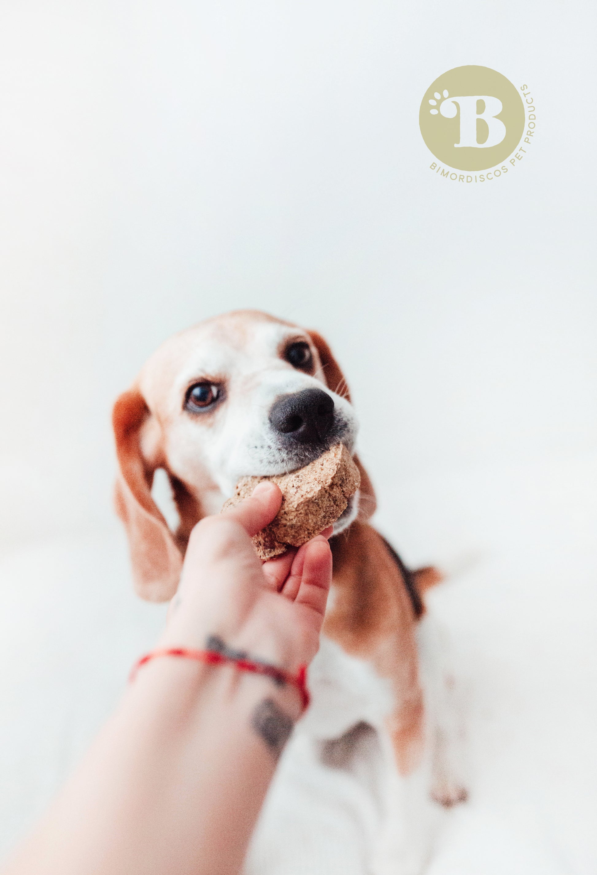 Bimordiscos Hamburguesas De Tripa Verde De Vaca Para Perros.