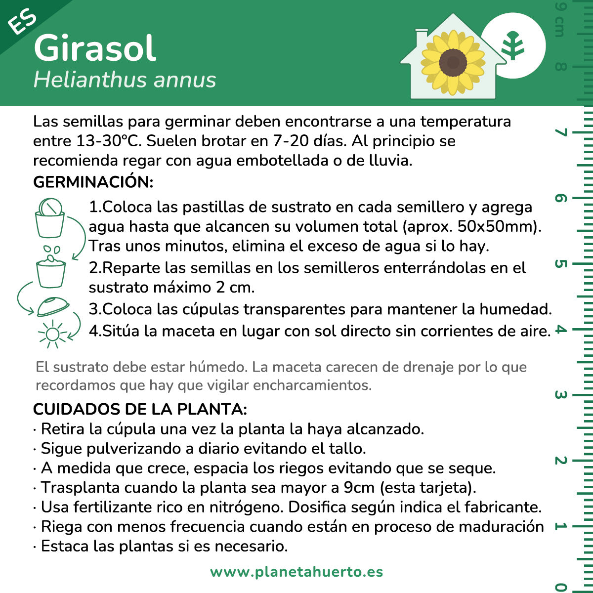 Kit de autocultivo girassol Planeta Huerto