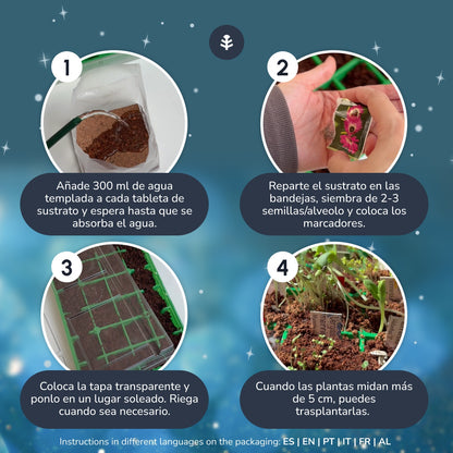 Calendário do Advento de Sementes com Mini Estufa Planeta Huerto