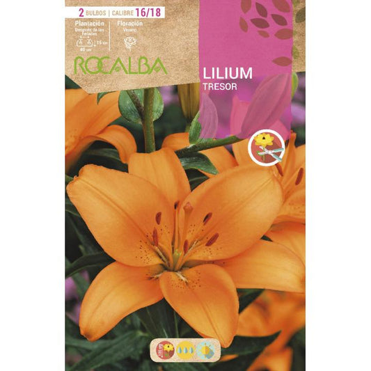Lâmpada Lilium Tresor 2 unidades (16/18)