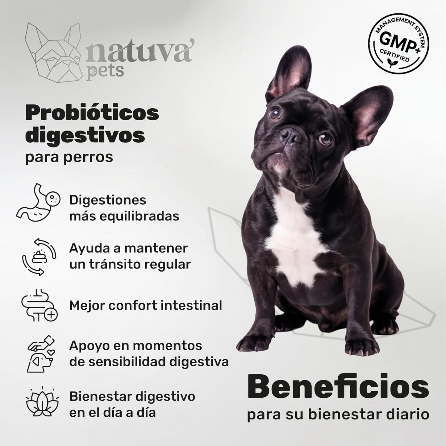 Probiótico Para Perros. Digestión Y Bienestar Digestivo. Suplemento Para Mascotas. 120 Masticables. Natuva Pets_1