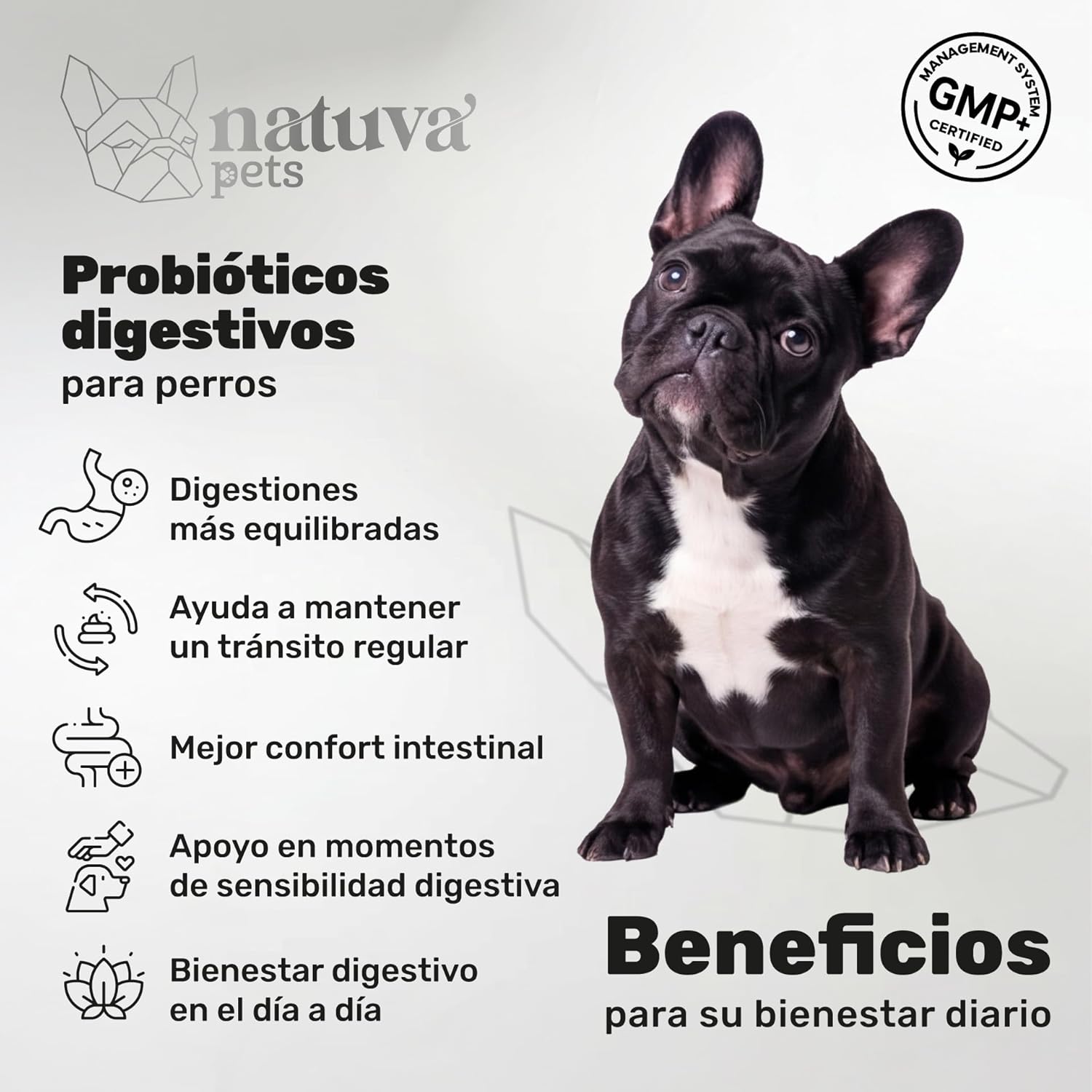 Probiótico Para Perros. Digestión Y Bienestar Digestivo. Suplemento Para Mascotas. 120 Masticables. Natuva Pets_1