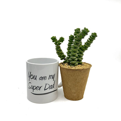 Pack Regalo Día Del Padre Taza Padresucu + Planta_2