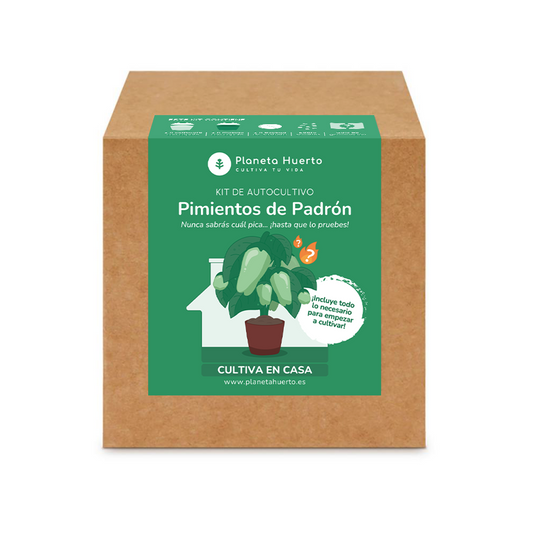 Kit de autocultivo Pimientos de Padrón Planeta Huerto