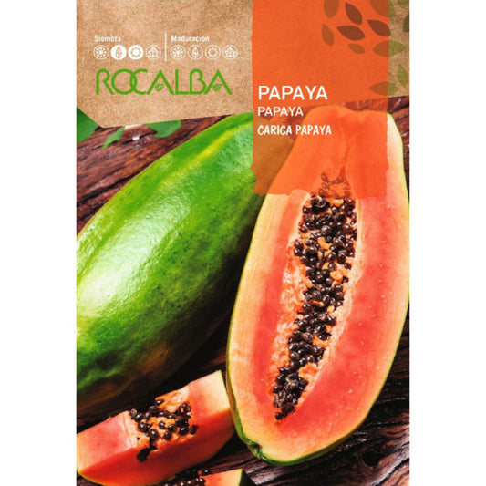 Sementes de papaia Carica papaya