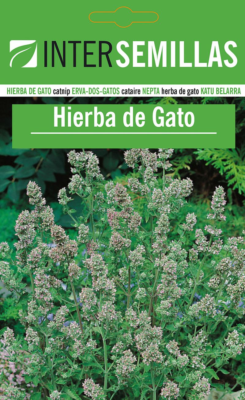 Sobre De Semillas De Hierba Para Gatos Catnip_0