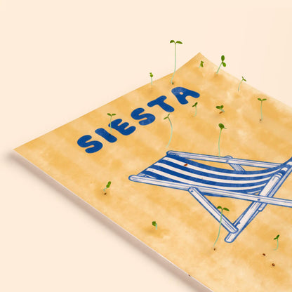 Postal Plantable Siesta Semillas de Tomate | Papel de Algodón Reciclado | Regalo Original - Resetea_2