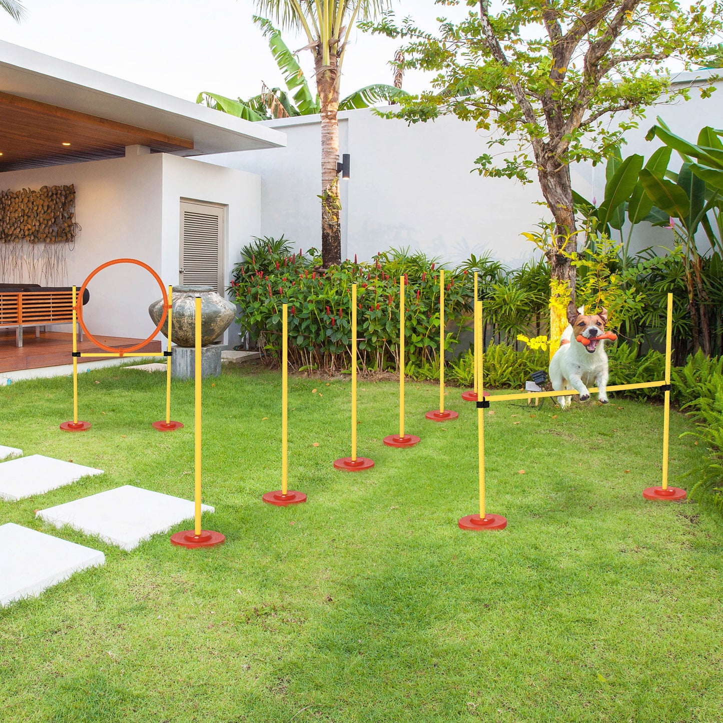 Pawhut Equipo De Entrenamiento De Agilidad Para Perros De 3 Piezas Amarillo_1