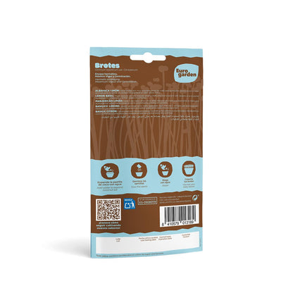 Sementes de rebentos de manjericão e limão Eurogarden