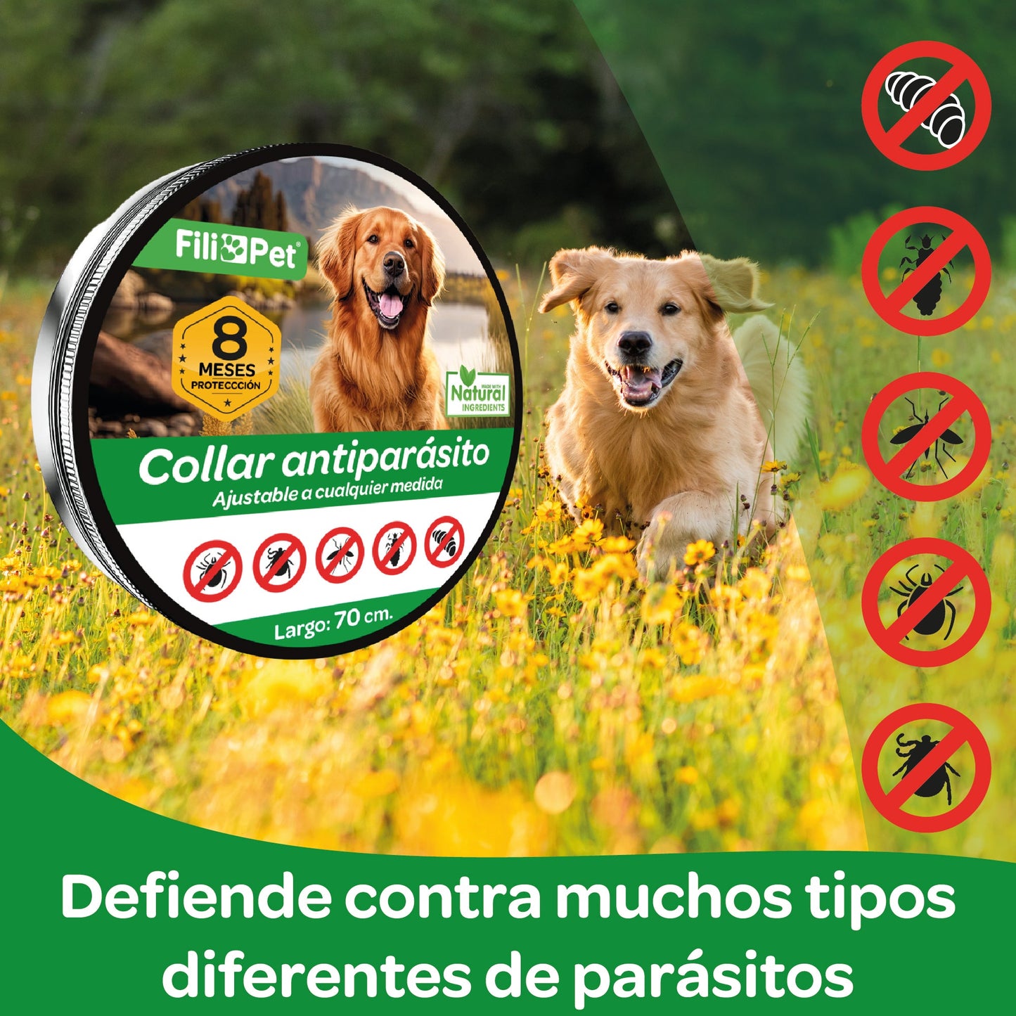 Collar Antiparasitos Para Perro Azul_3