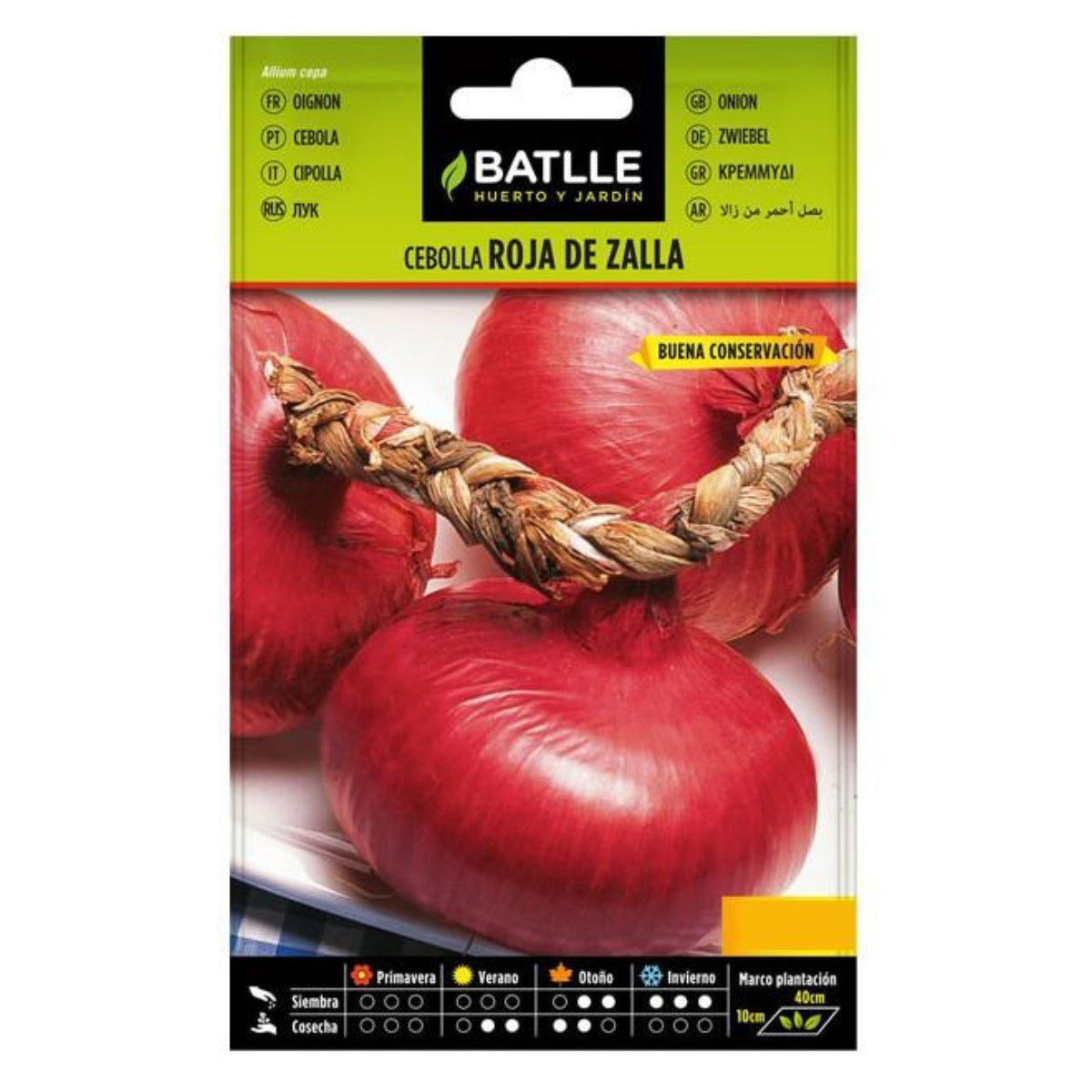 Sementes de cebola roxa Zalla Batlle