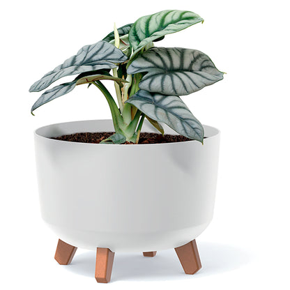 Macetero Color Blanco,sin Depósito , Colección Gracia De 39cm X 39cm X 25,7cm Cm, Capacidad De 21,5 L.