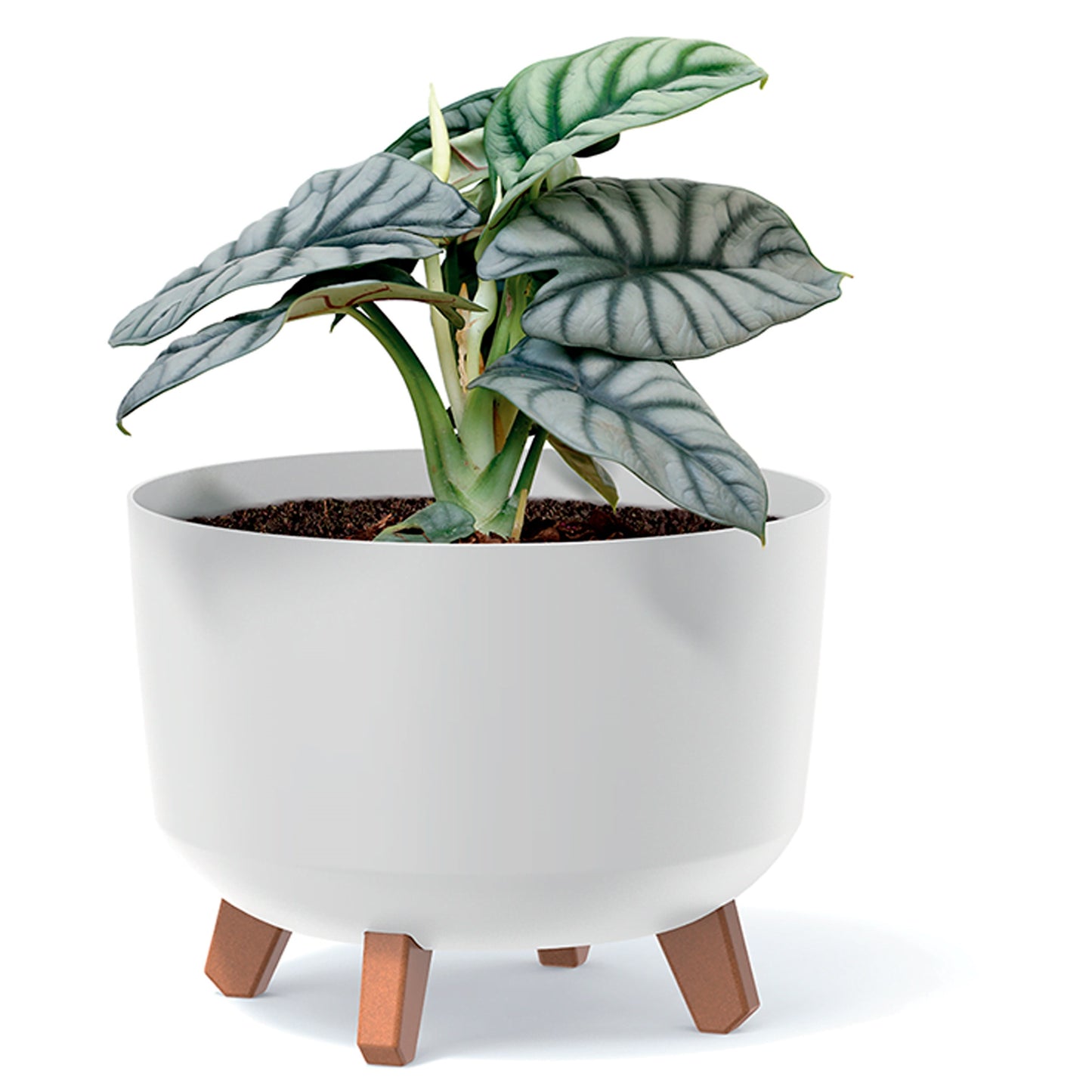 Macetero Color Verde Tierra,sin Depósito , Colección Gracia De 23,8cm X 23,8cm X 18,7cm Cm, Capacidad De 5,1 L.