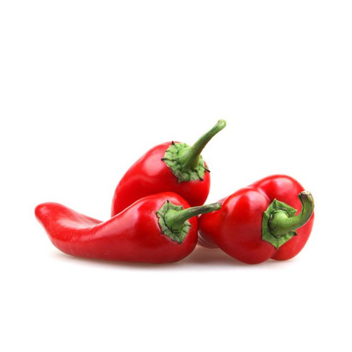 Muda de pimento piquillo em vaso de 11 cm