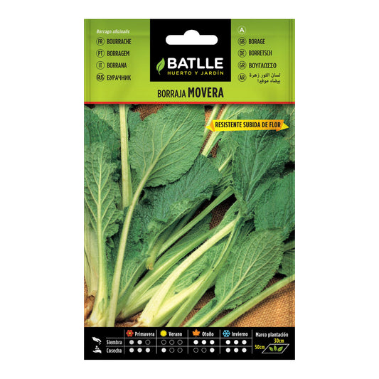 Sementes de Borragem Movera Batlle
