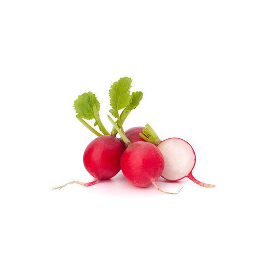 Plântulas de Rabanete Vermelho, 6 unidades. Linha Tradicional