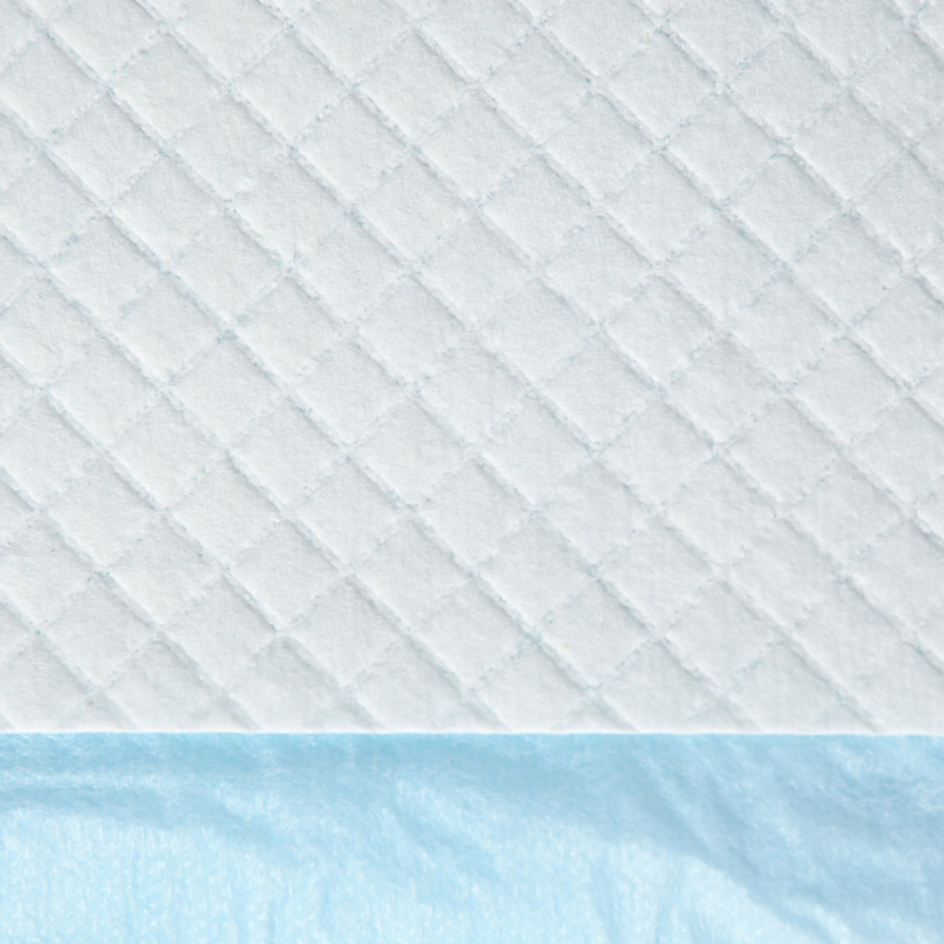 Pawhut Empapadores Para Perros 80 Unidad 60x60 Cm Diseño De 6 Capas Azul_3
