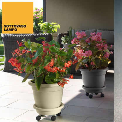 Platillo Para Maceta Con Ruedas Para Facilitar Su Traslado Ø 33 Cm_1