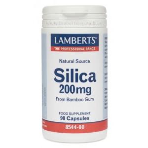 Silício 90 cápsulas Lamberts 200mg