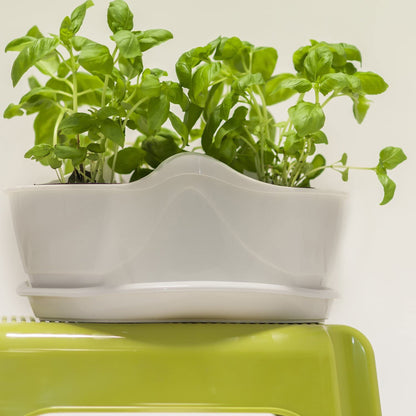 Maceta Para 3 Plantas Aromáticas 3 Litros En Color Blanco 30 X 30 X 14 Cm_3