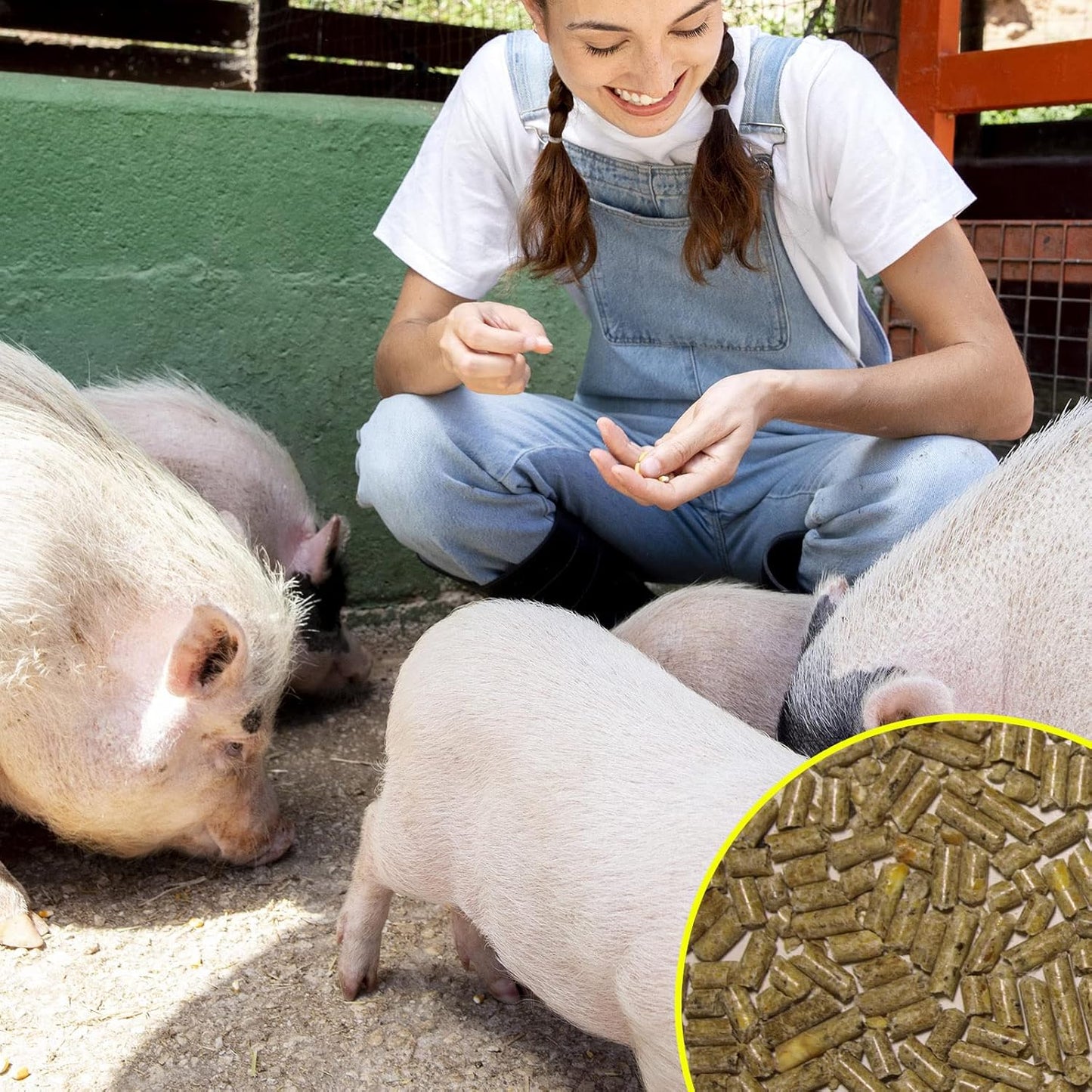 Pienso ECOLÓGICO para Cerdos en Crecimiento 20 kg. Comida Nutritiva y Natural para Cerdos. Desarrollo Óptimo y Saludable_2
