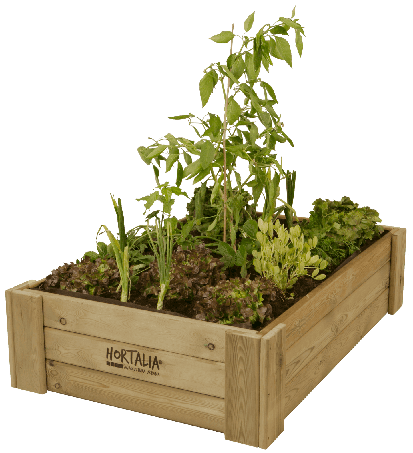 Caixa L30 Hortalia 230 L gaveta de cultivo