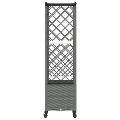 Cama Elevada Con Trellis Y Techo Gris Claro 124 X 40 X 142 Cm_3