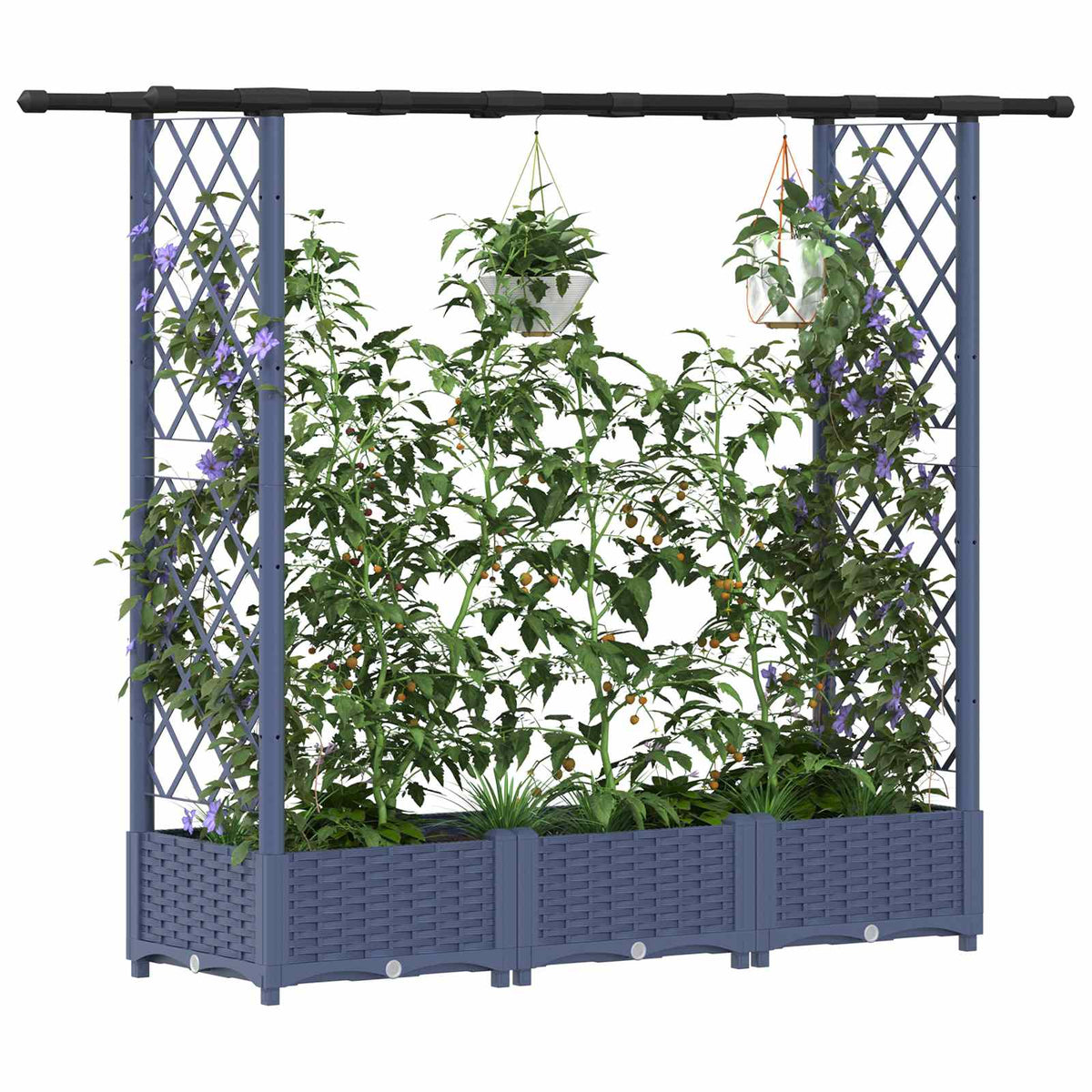 Cama Elevada Con Trellis Y Techo Gris 164 X 40 X 121 Cm Pp_2